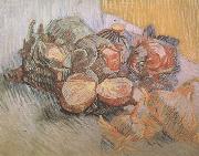 Vincent Van Gogh Still life with Red Cabbages and Onions (nn04) oil painting